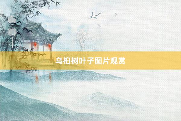 乌桕树叶子图片观赏
