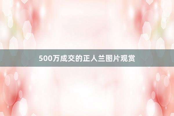 500万成交的正人兰图片观赏