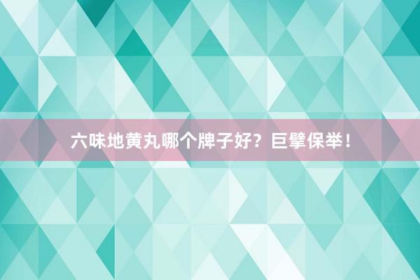 六味地黄丸哪个牌子好？巨擘保举！